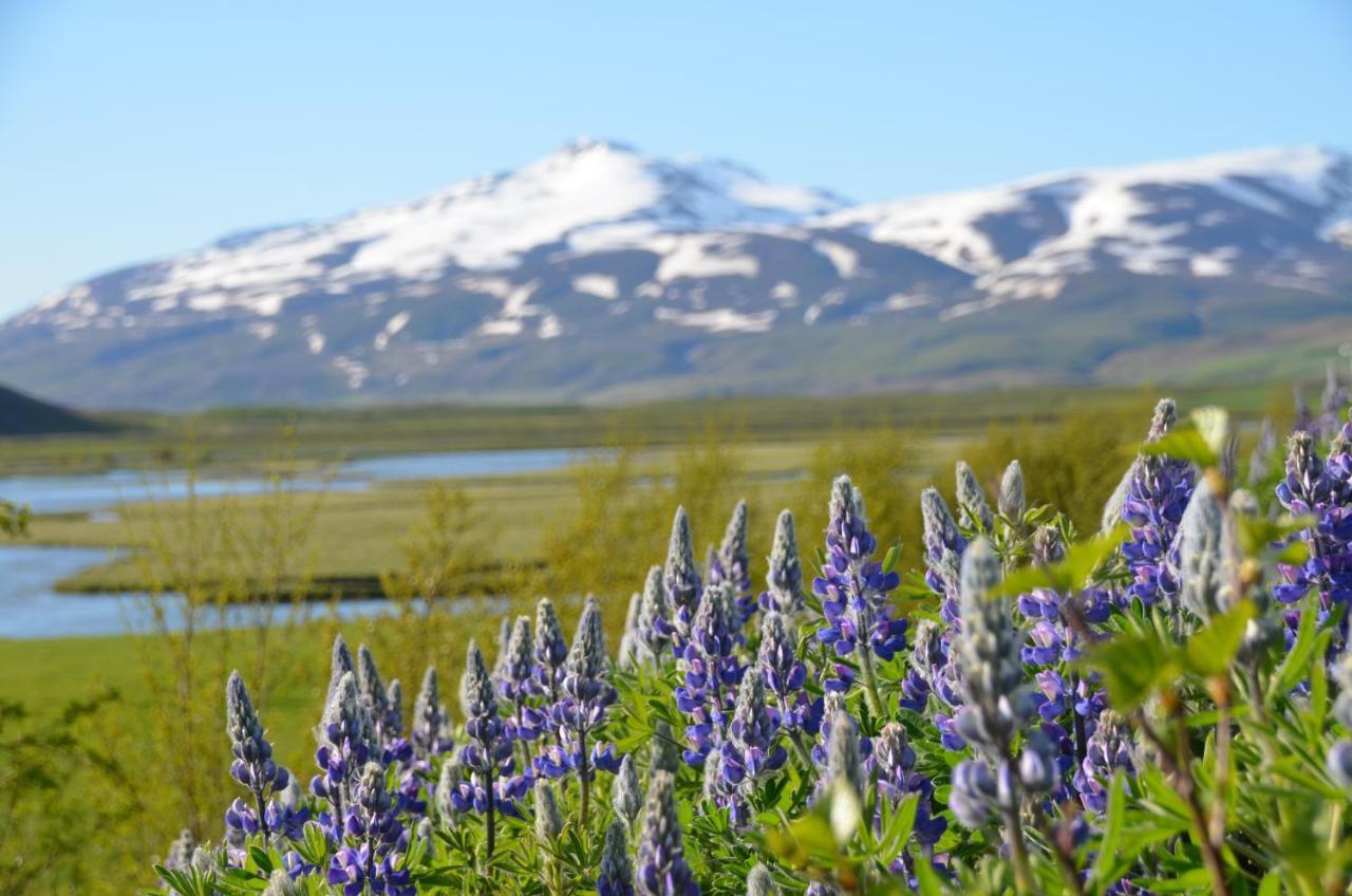 Áshóll guesthouse - farmstay Akureyri Exterior foto